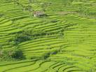 Du lich Sapa Lao Cai ghép