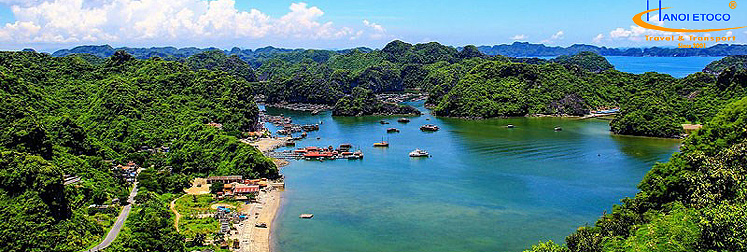 Du lich Ha long Cat ba - Bai tam cat co Dao Cat Ba